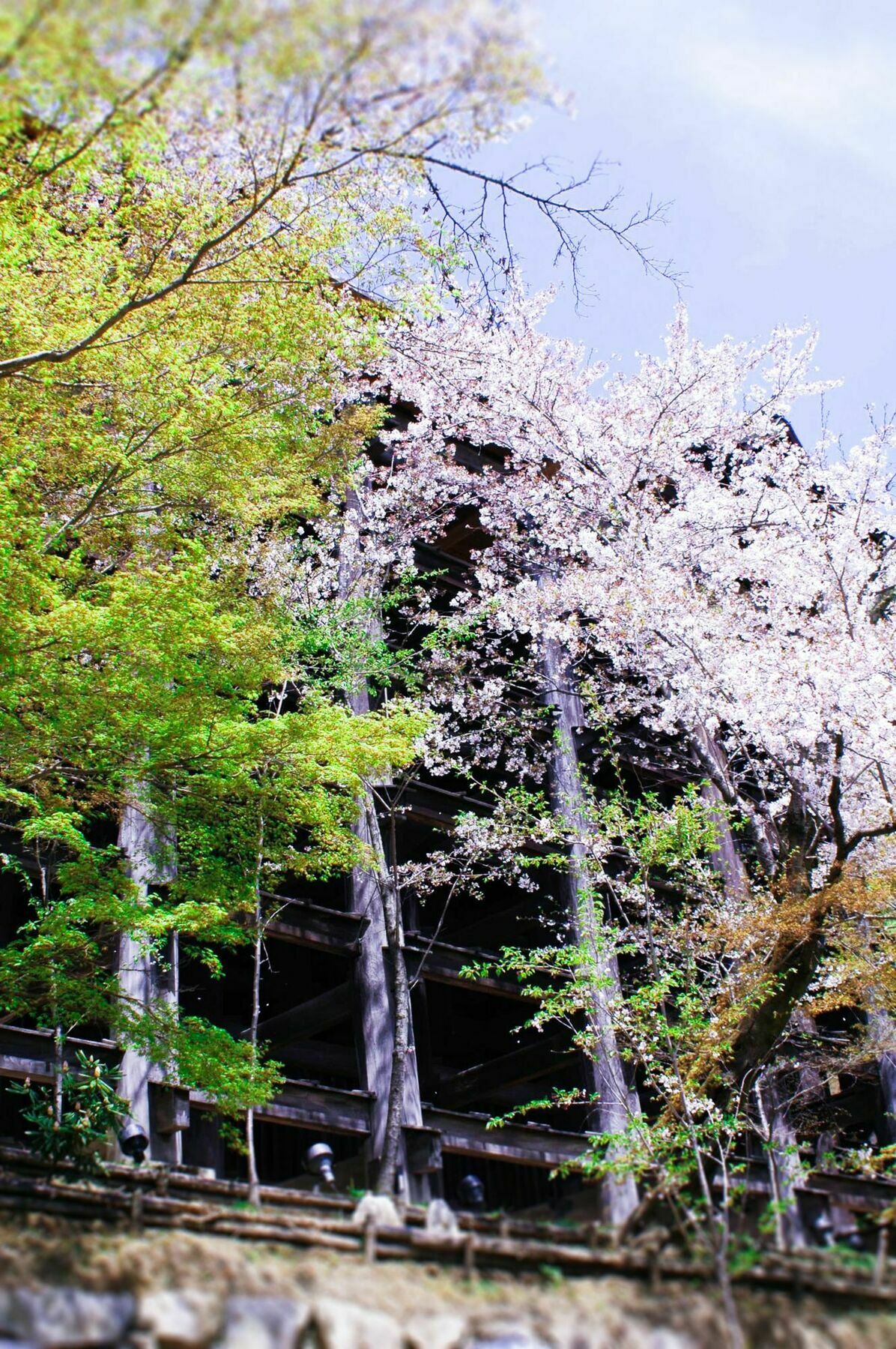 Stay Sakura Kyoto Machiya Akari ภายนอก รูปภาพ
